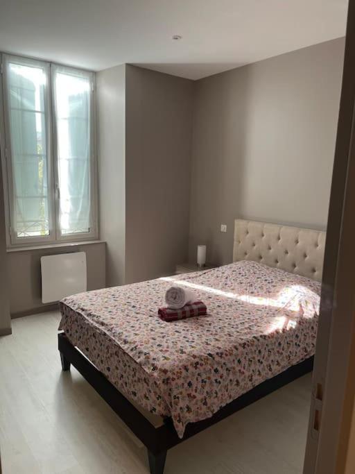 Superbe Appartement Plein Centre Millau Exterior foto